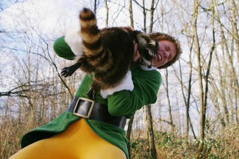 The Best Christmas Movies to Get You in the Holiday Spirit