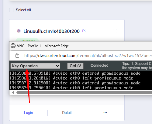 How to Find Your Cloud Server Information on SurferCloud Panel